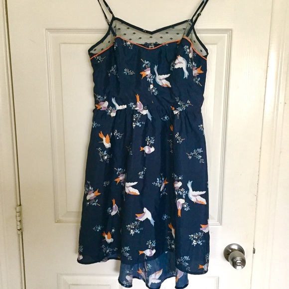 Sweet Sparrow Bird Print High Low Navy Blue Dress - Picture 5 of 8